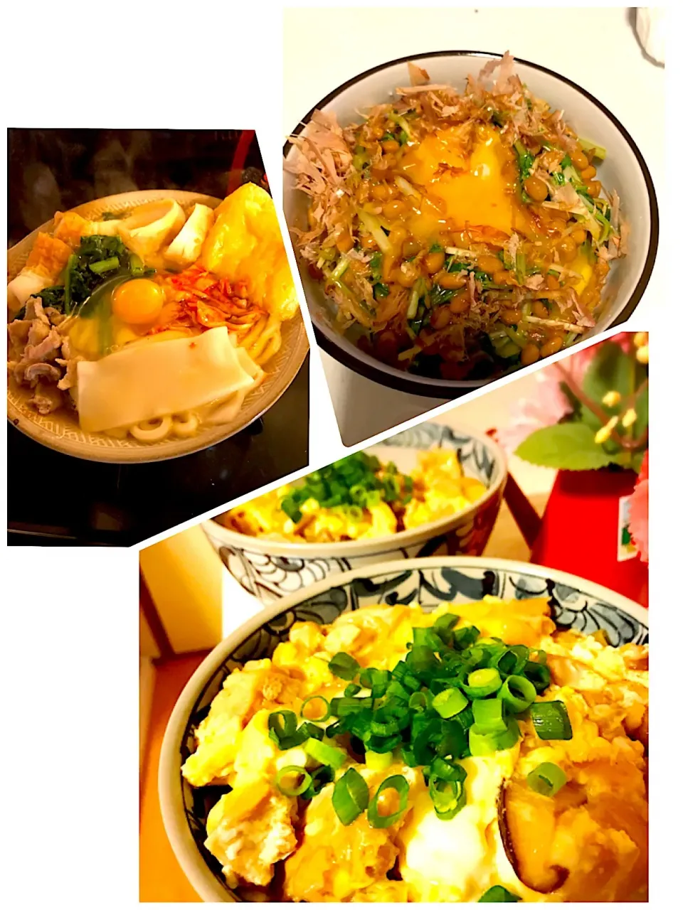 Snapdishの料理写真:最近の晩御飯🍚三兄弟の腹を満たすやつ
親子丼✨納豆丼✨鍋焼きうどん|ちゃーさん