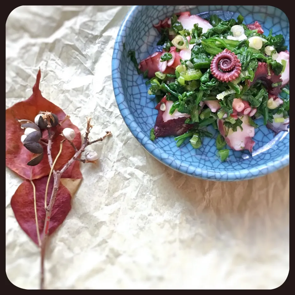 Snapdishの料理写真:じゅんけさんの料理 たこと春菊の中華風あえ|izoomさん