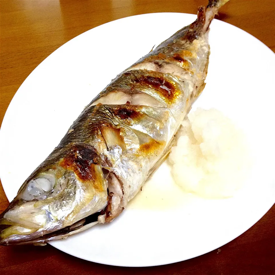 島根県産✨天然鯵の塩焼き💕デカすぎ〜でも 旨旨〜でした😍❤️|まいりさん