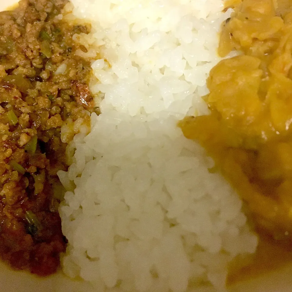 ポーク山椒キーマとダルカレー|抱大飯店さん