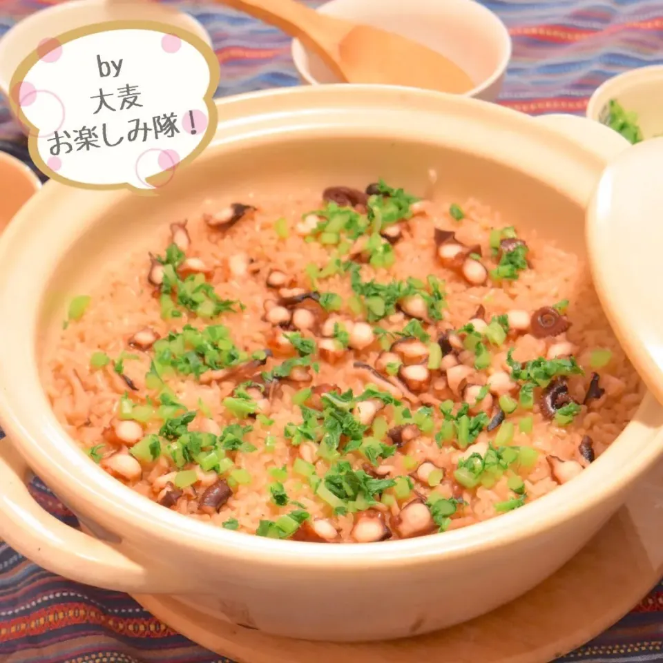 土鍋で炊く旨味ジワる！タコ飯☆土鍋ごはんのススメ～。。。 - ふじたかなの"いつも美味しい！もの探し"|ふじたかなさん