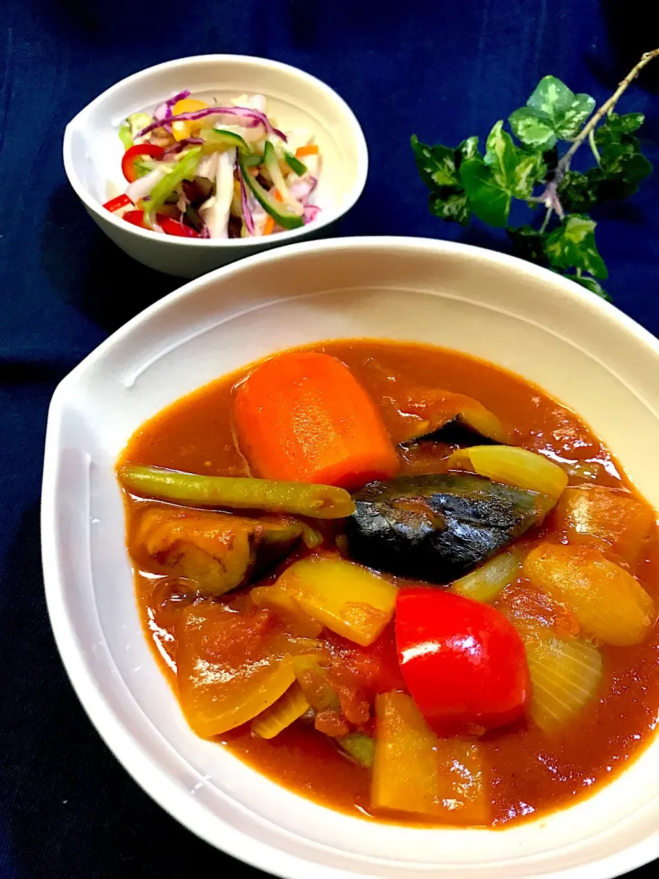 🍛今日のおうちランチは 7種野菜と2種豆のカレーと 10種野菜の千切りサラダ🥗|Hollyさん