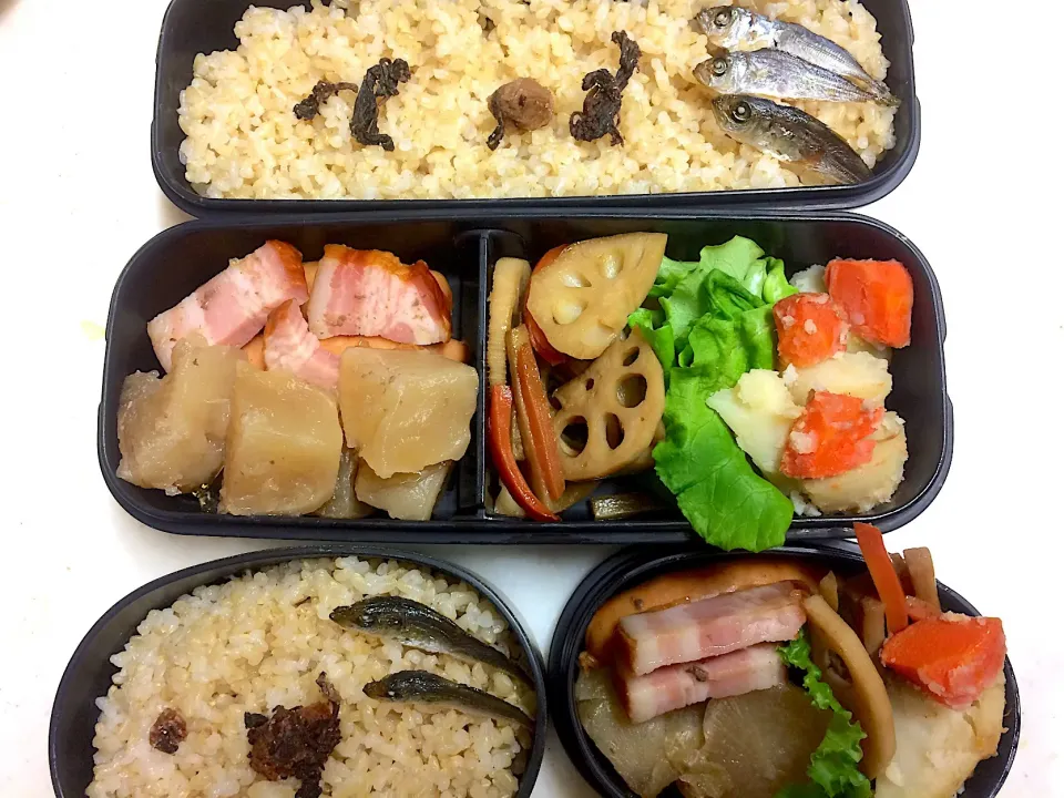 #今日のお弁当 ソーセージ＆ベーコンと大根の煮物、きんぴらごぼう＆蓮根、じゃがいもと人参の塩バター煮|Victoryageさん