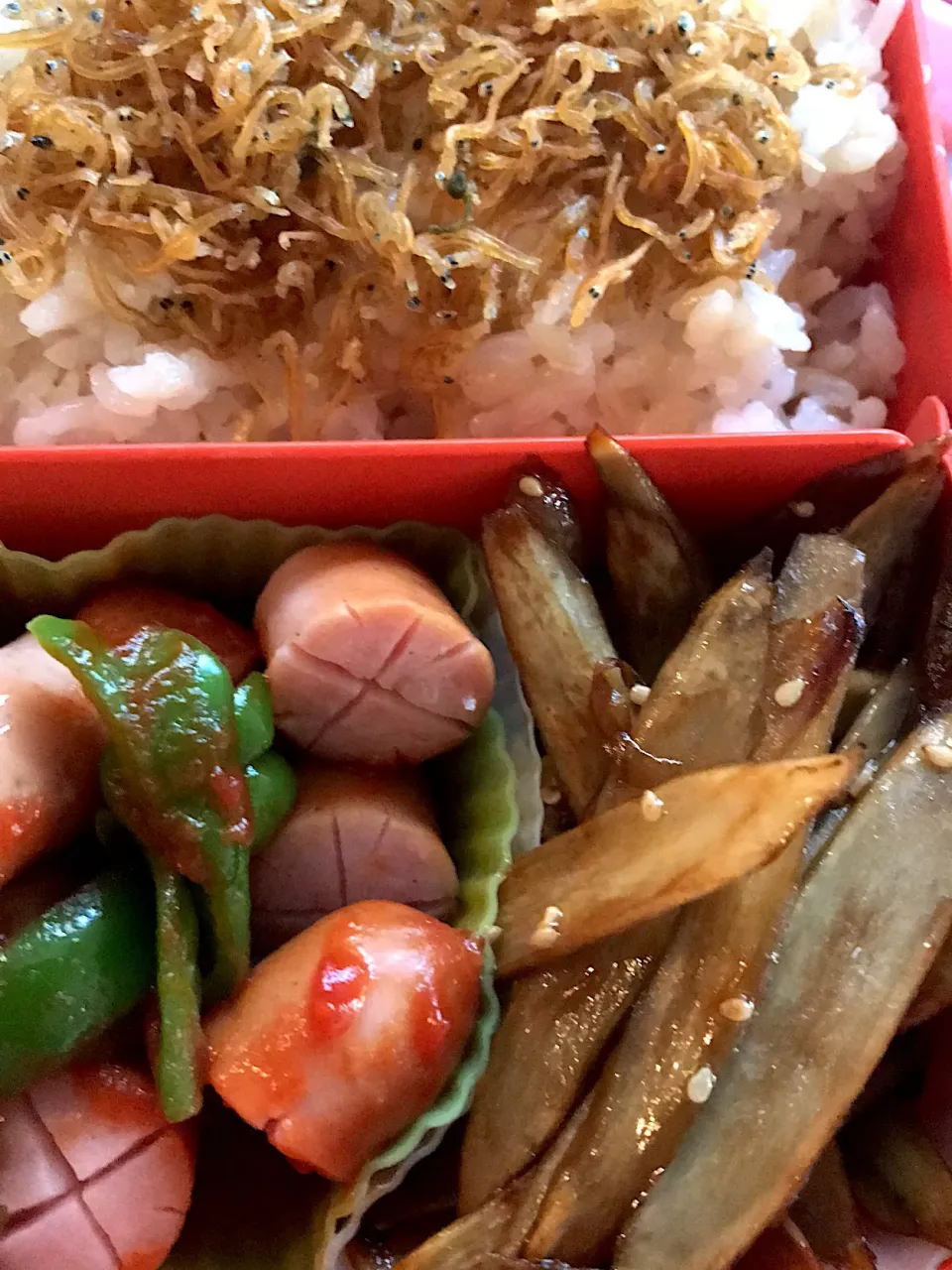 Snapdishの料理写真:#本日のお弁当 は卵焼き割愛、その分 #わんこ達お散歩 と #洗濯 に…|Nao K. Tさん