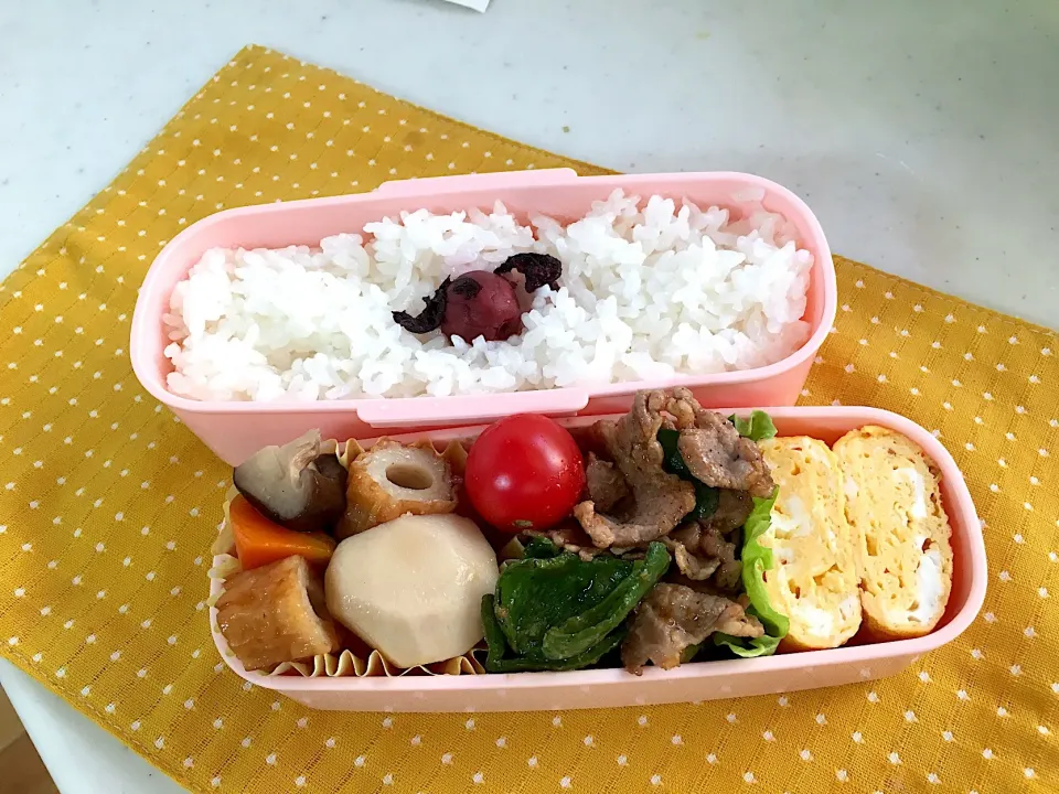 今日のお弁当🍱
肉炒め🍖|くっきいさん