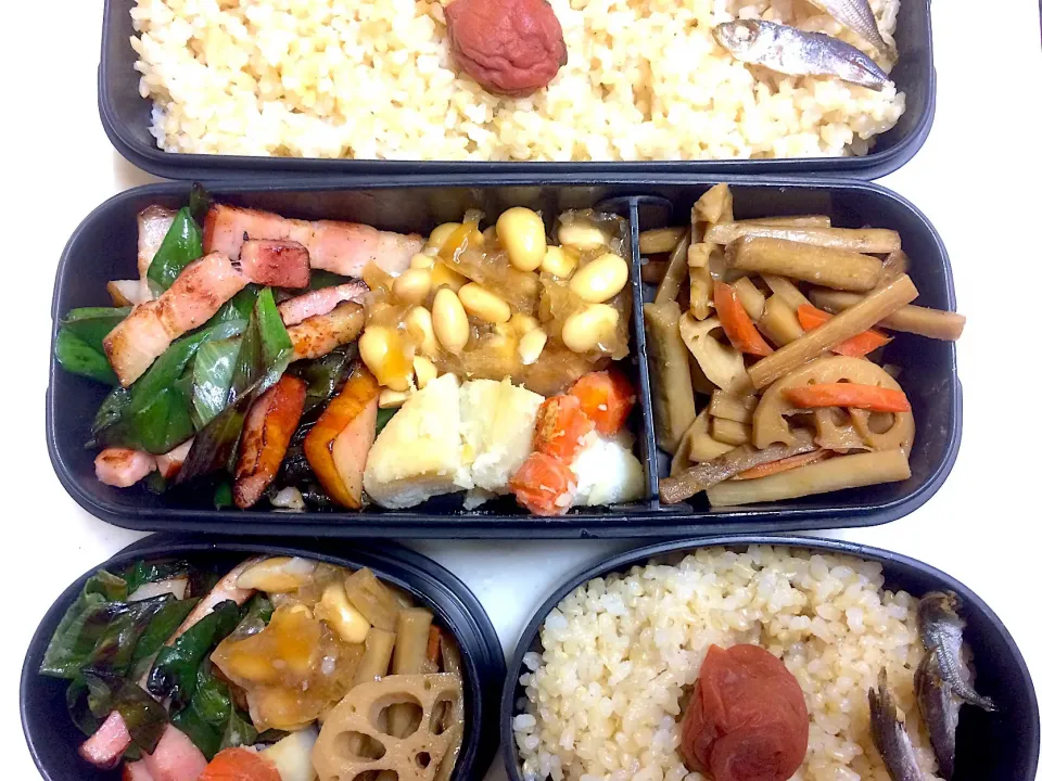 #今日のお弁当 ベーコンと葱の炒め物、大豆の煮こごり寄せ、じゃがいもの塩バター煮、きんぴらごぼう＆蓮根|Victoryageさん