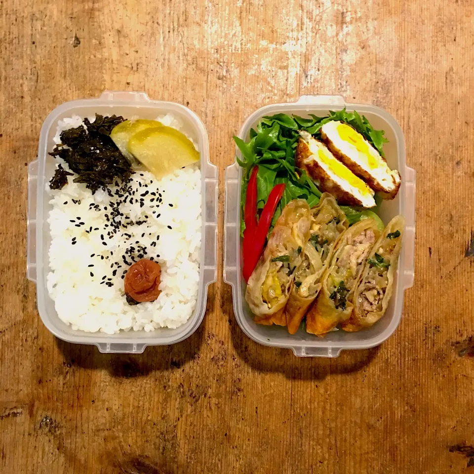 今日のお弁当‼︎ 7 December
 #お弁当  #弁当  #obento  #bento  #春巻き  #野菜たっぷり|Yoshinobu Nakagawaさん