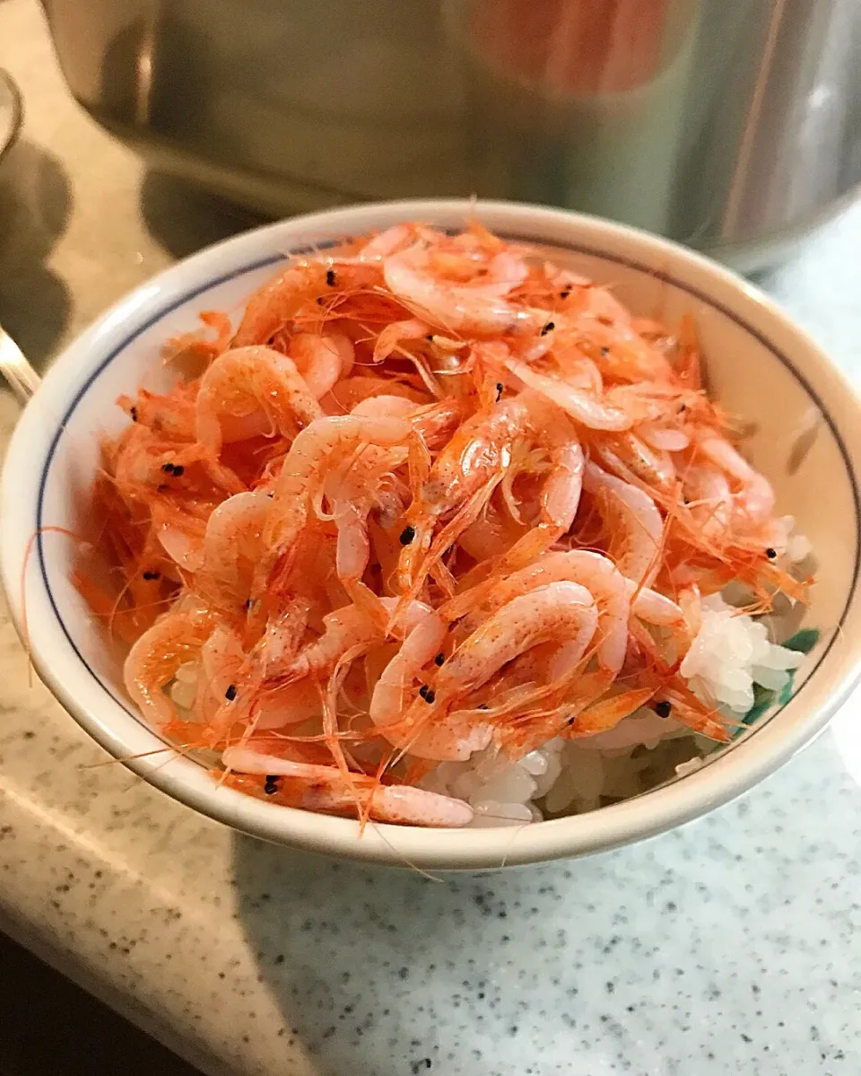 Snapdishの料理写真:焼津大井川港産 桜えびごはん 駿河湾産|ガク魁‼︎男飯さん