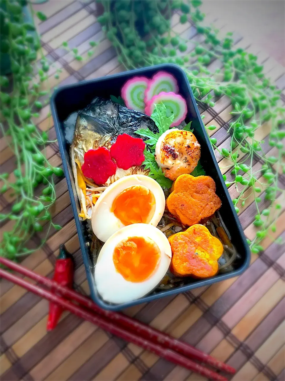 #のっけ弁当 #焼き鯖 #味玉 #かぼちゃもち #きんぴら #えび|呑兵衛料理家 おねこさん