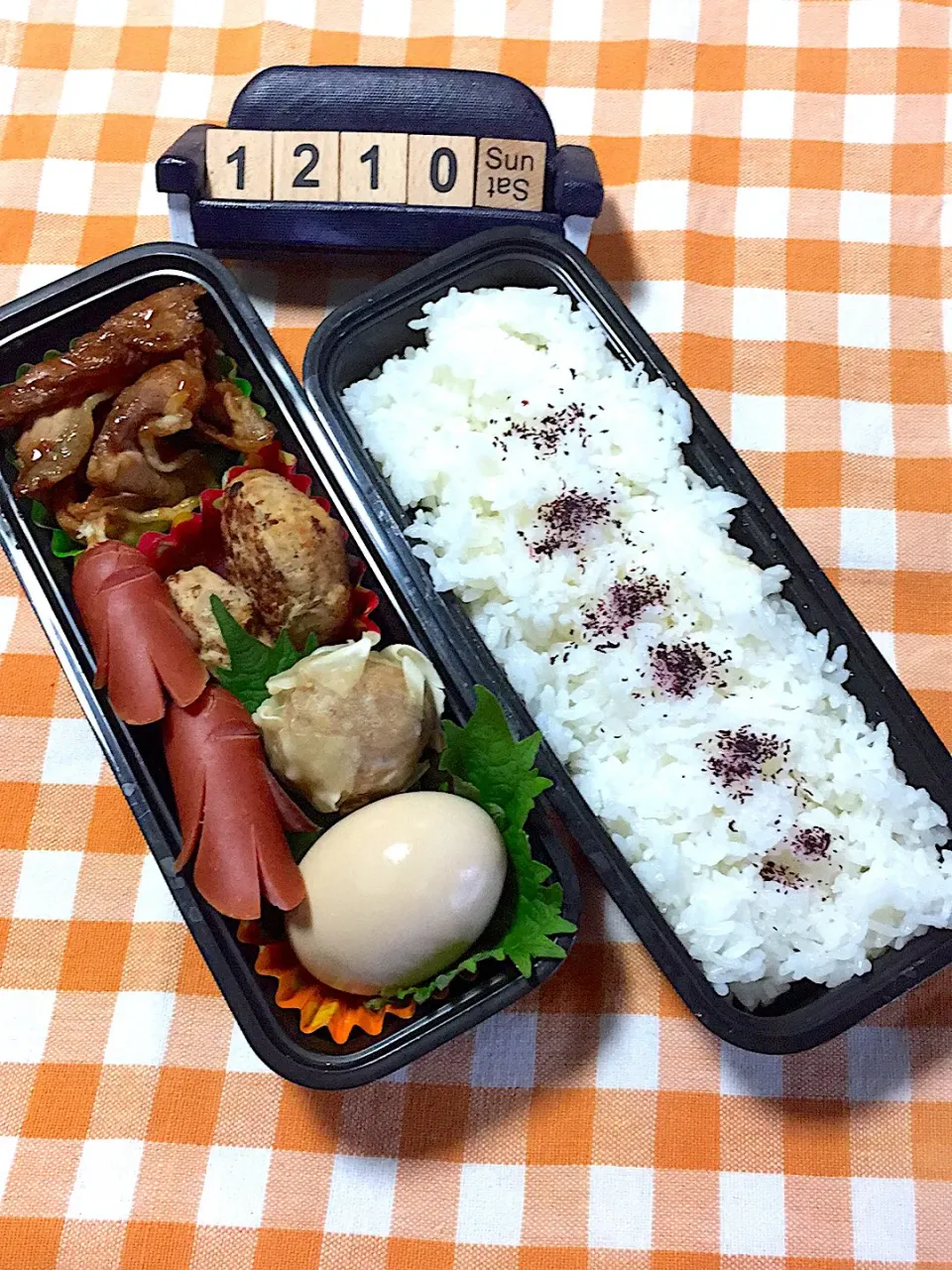 Snapdishの料理写真:１２月１０日の高3男子の塾弁当♪|ごっちさん