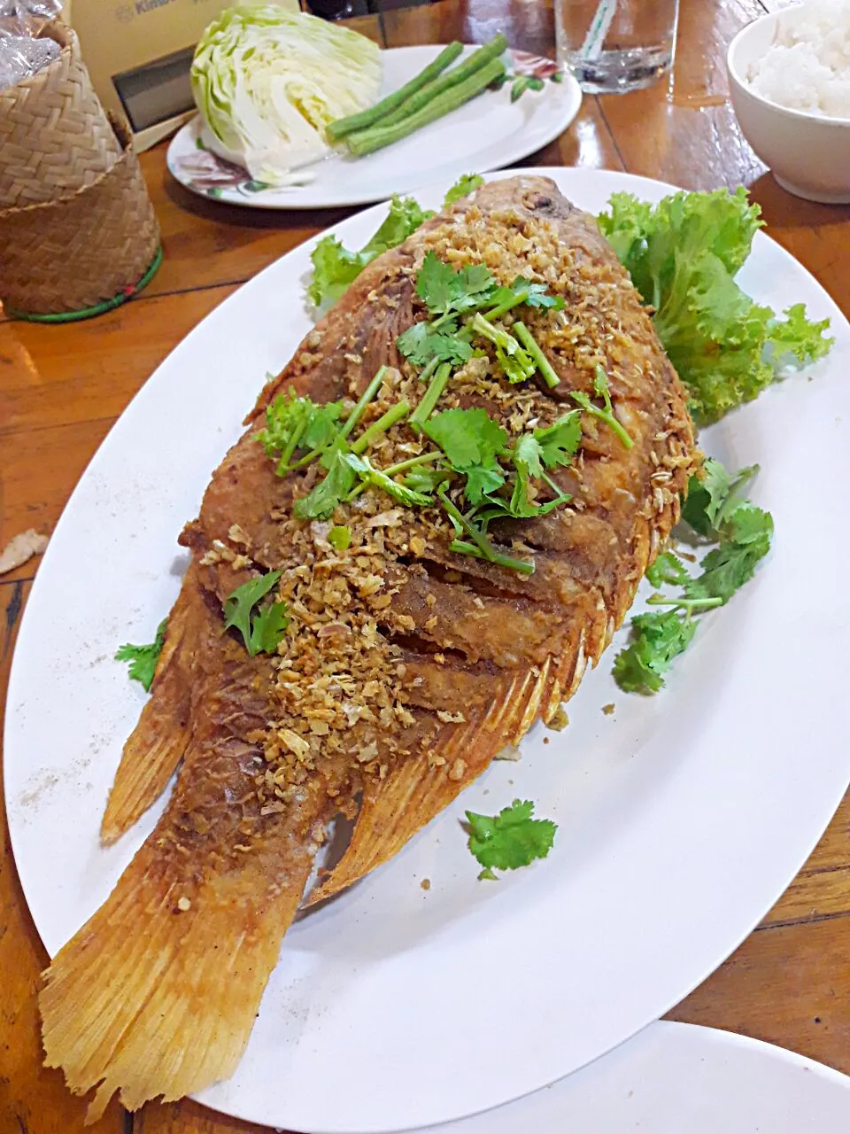 Fried Fish with Garlic|Jeab Lertさん