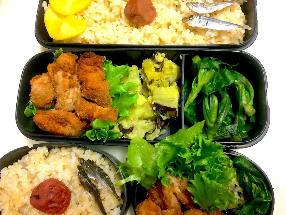 #今日のお弁当 鶏のから揚げ、さつまいものサラダ、春菊のぽん酢和え|Victoryageさん