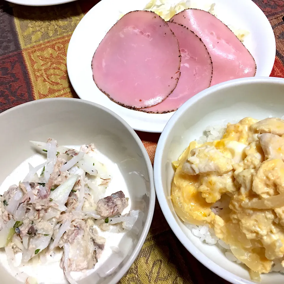 親子ミニ丼・鯖と大根のサラダ・・明日は健康診断です！|Yuko Kisoさん