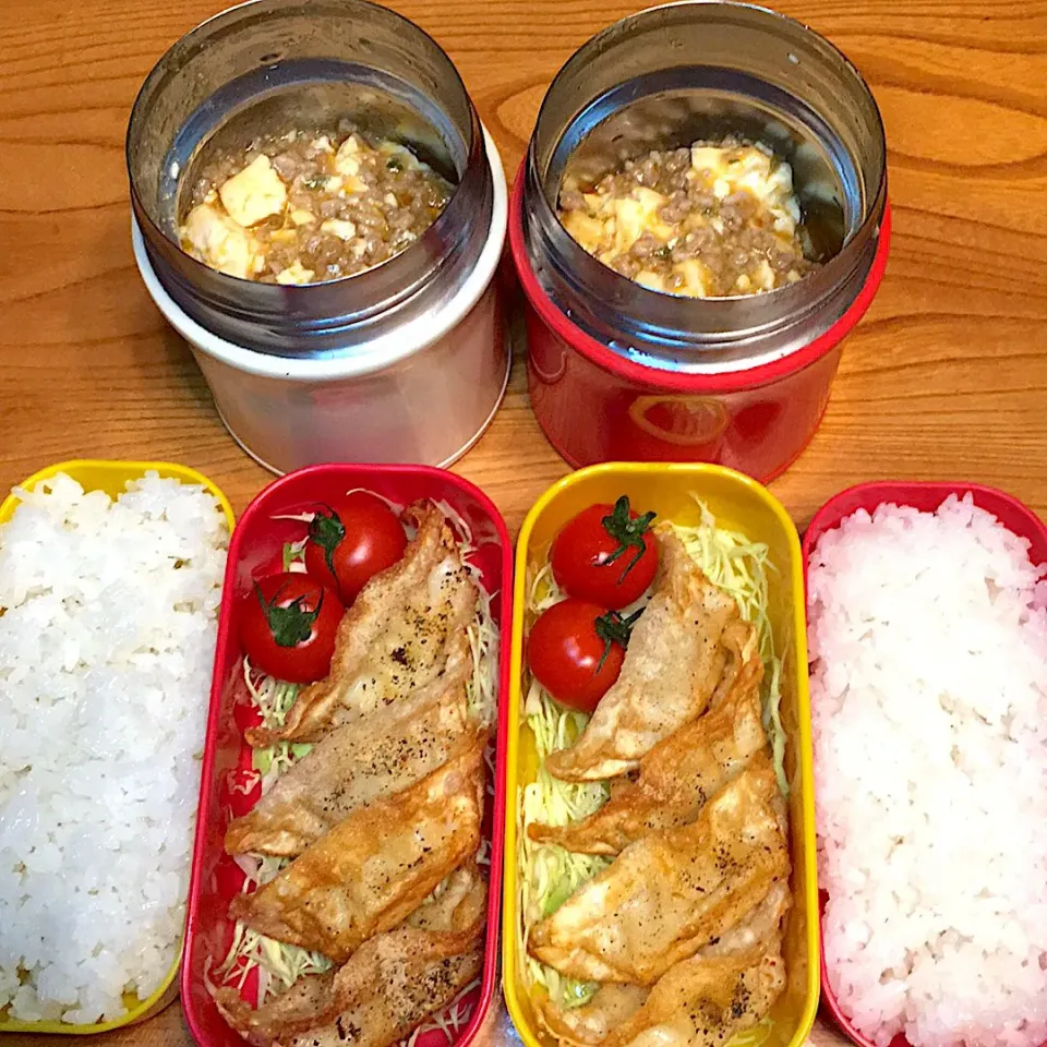 Snapdishの料理写真:麻婆豆腐と揚げ餃子弁当|ツインズママさん