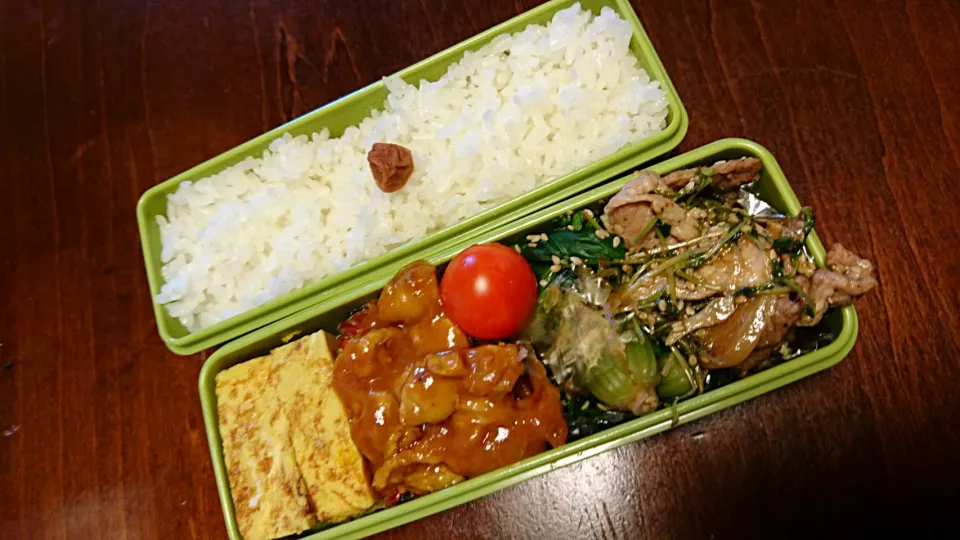 カレー弁当|りょーさん