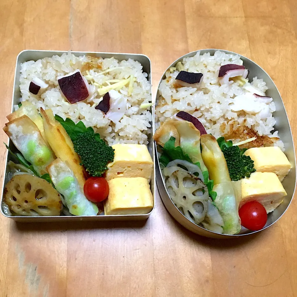 タコ飯弁当|sachiさん