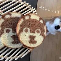 Snapdishの料理写真:#わんわん大作戦🐶