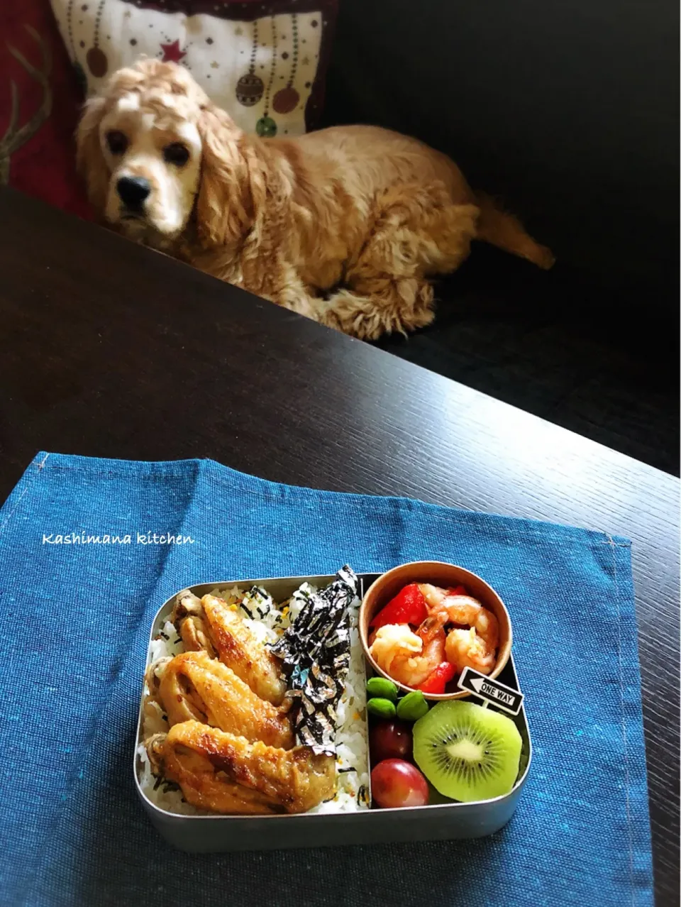 今日の高一息子弁当と朝ご飯食べてお腹いっぱいでまったりしてるアスラン君😁😆😘|Kashimanakitchenさん