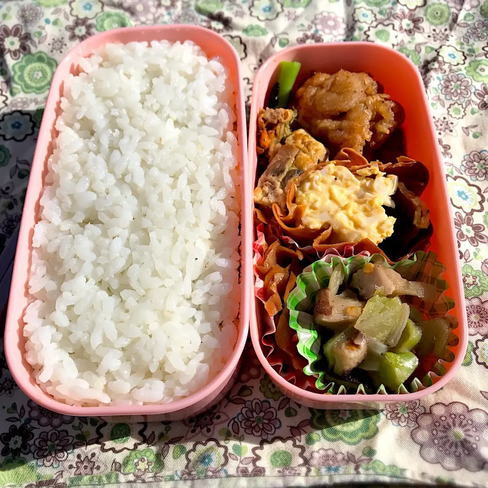 公園でお弁当🍱|Ayayaさん