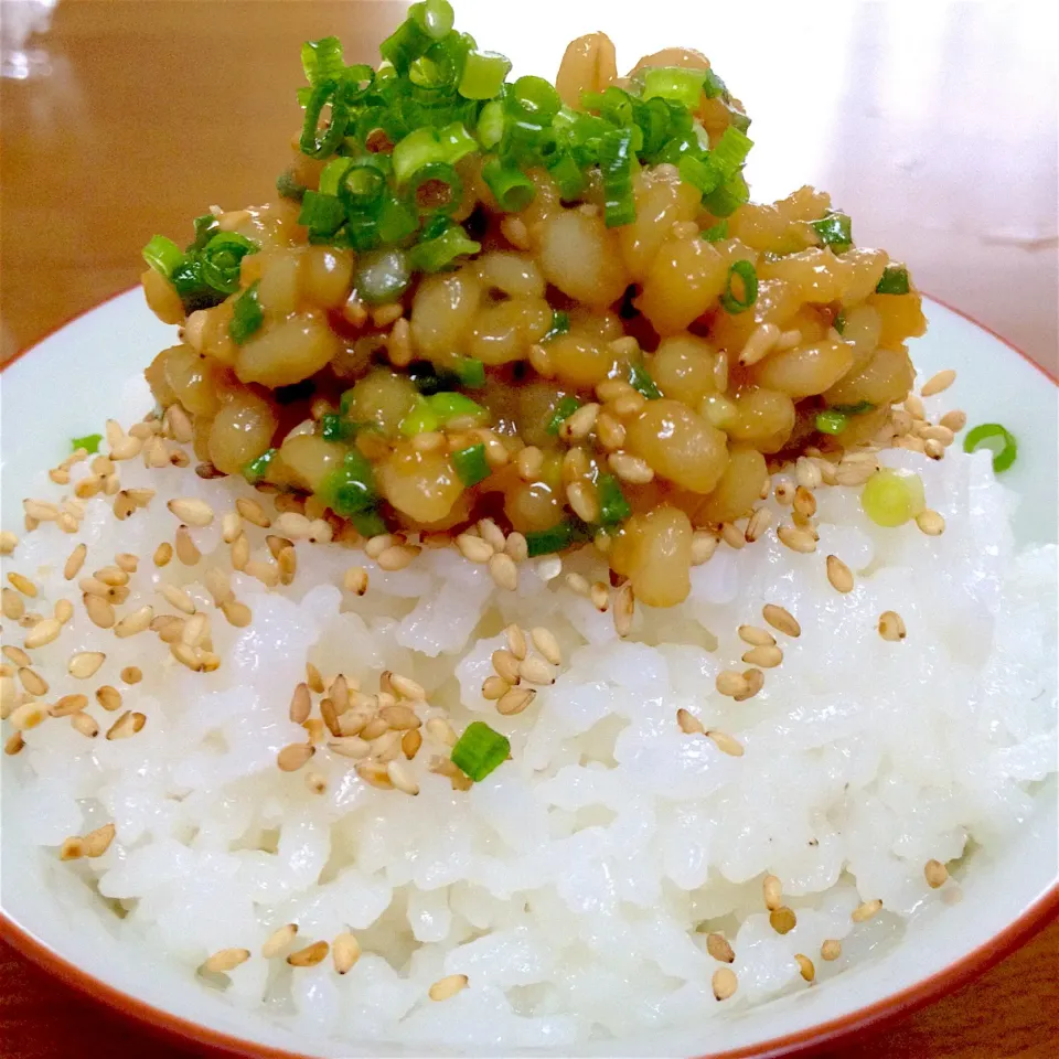 Snapdishの料理写真:炊きたてご飯🍚❤️納豆じゃないよ〜🎵もち麦の甘辛ねぎ味噌だょ🤗|まいりさん