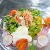 Snapdishの料理写真:毛蟹のサラダと野菜のテリーヌ ソースムースリーヌで！|zukazukaさん