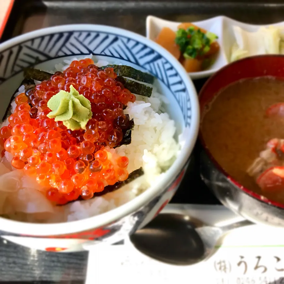 いくら丼 with 酢飯|venerdiさん