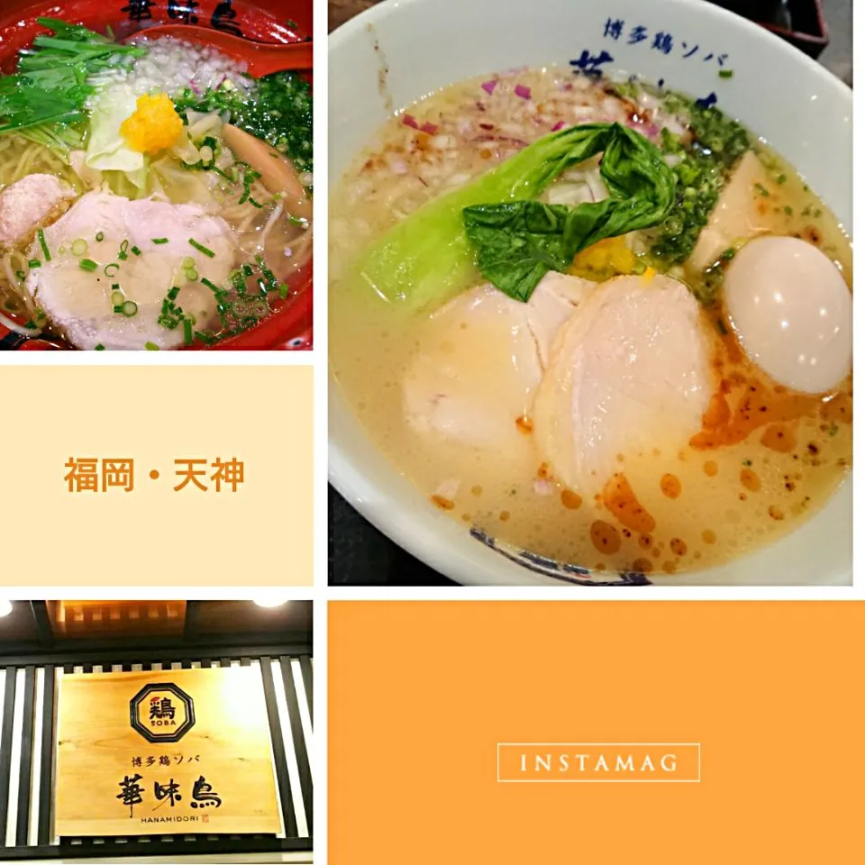 Snapdishの料理写真:#麺活  ~鶏白湯そば~|りくれんさん