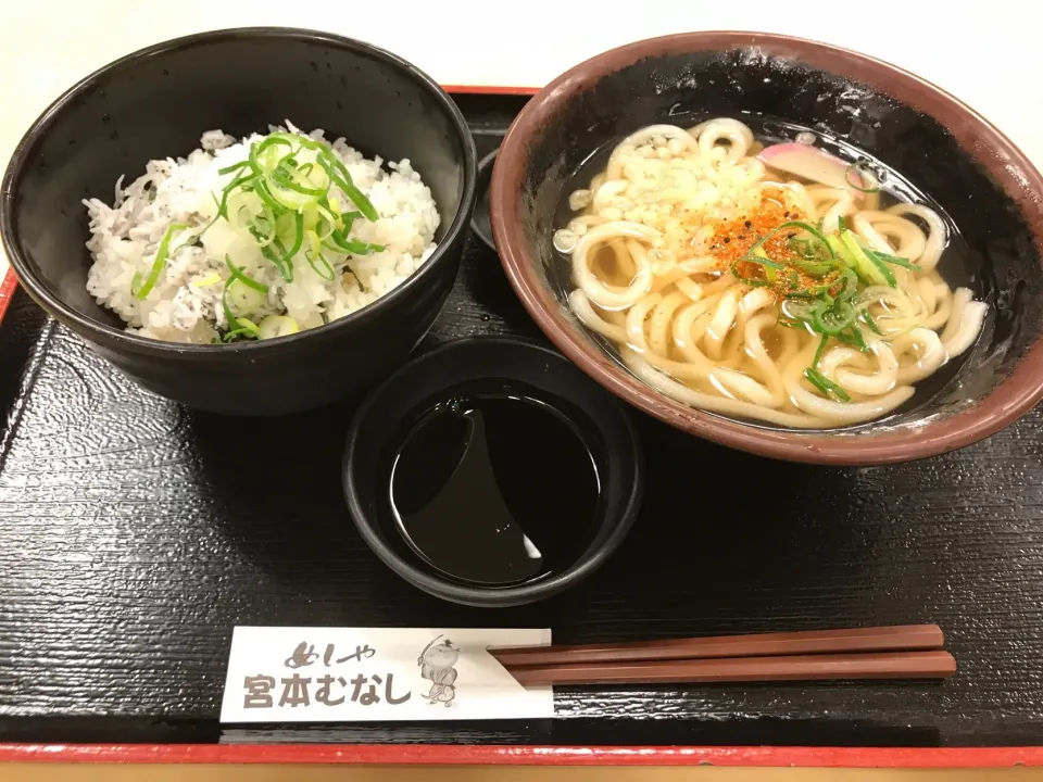 南草津駅前はランチ不毛地帯ですわ💢シラス丼のご飯はパリパリ💢うどんは伸び気味💢前回の時、他に店がないので仕方なくカツの卵とじ頼んだ時は卵がカチカチに火が通ってたし💢|にゃあ（芸名）さん