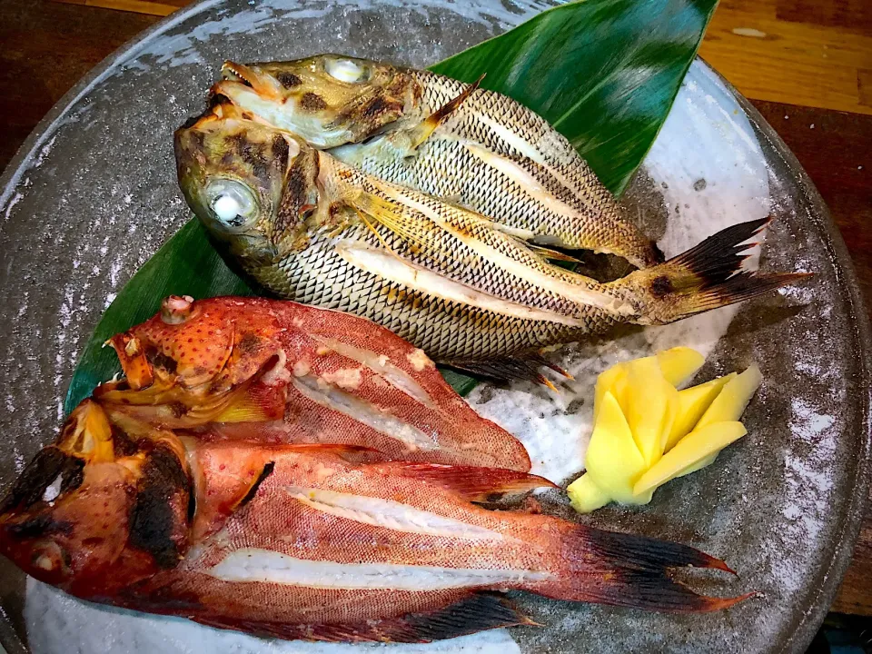 釣魚持ち込み
  調理依頼
   ミーバイ
     ムルー
    酒盗焼|ちゅら夏さん