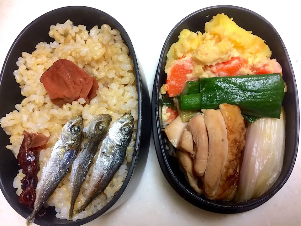 #今日のお弁当 鶏肉の葱醤油焼、ポテトサラダ|Victoryageさん