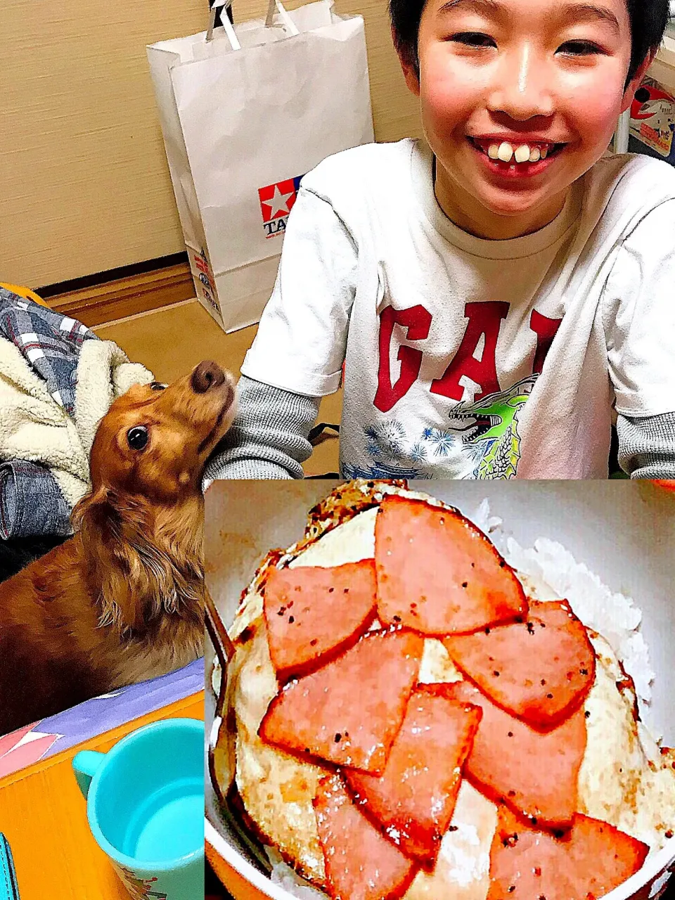 孫が突然来たけど何も無くて、で、ジイジが作ったハムエッグ丼😁🥚💕|ジイジさん