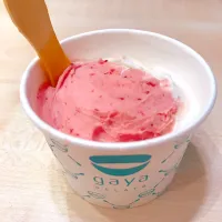 Gaya gelato, one of my favourite ice cream|Fentiさん