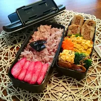 息子弁当|ナミさん