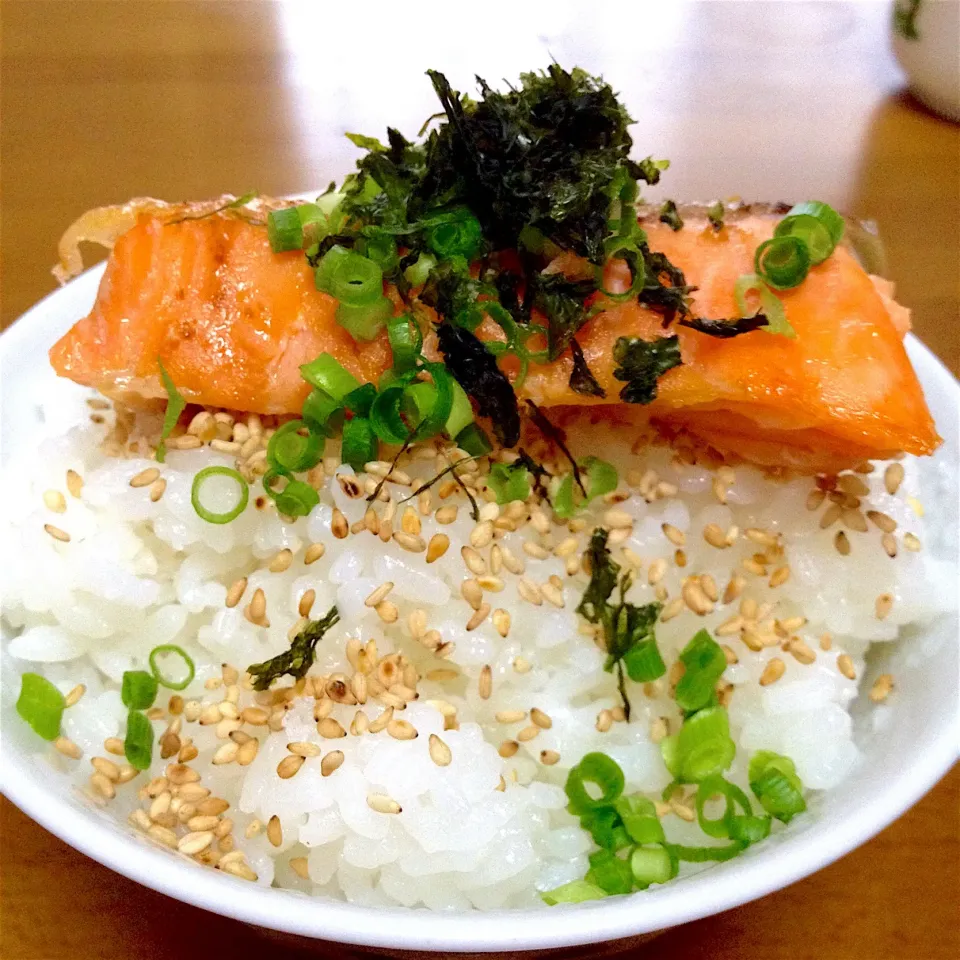 鮭ご飯🍚炒りごま、もみ海苔、刻みネギ、見えないけど山葵もね〜🤗|まいりさん