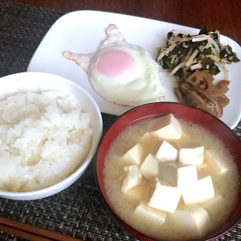 12/19 #朝ごはん  #単身赴任飯|Koichi GOGOさん