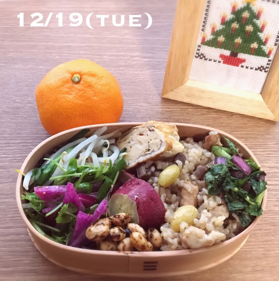 12/19 お弁当|もっちさん