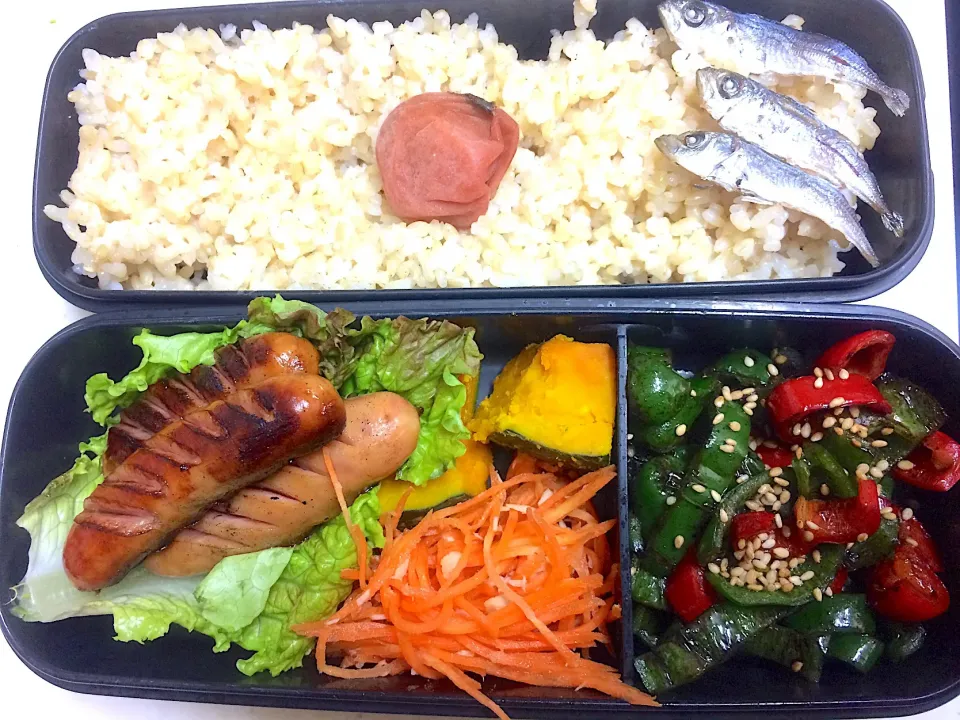 #今日のお弁当 ソーセージ、南瓜の塩バター煮、人参のツナサラダ、ピーマン炒め|Victoryageさん