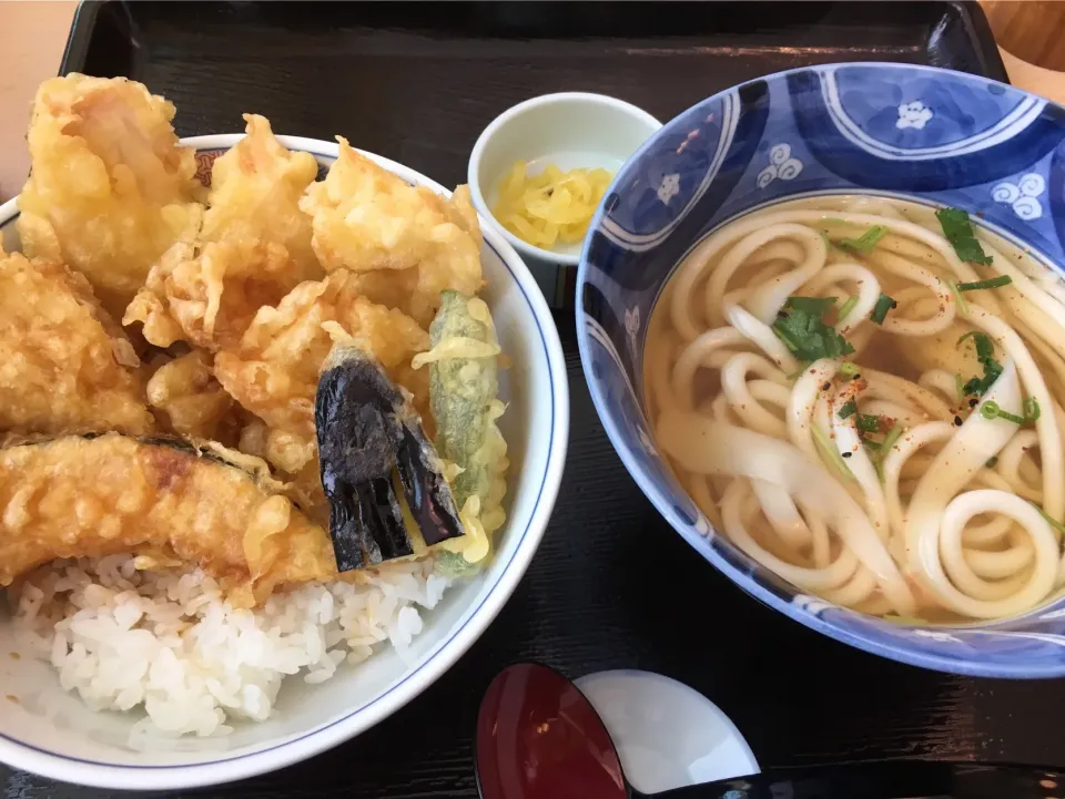 かしわ天丼&うどん|フージさん