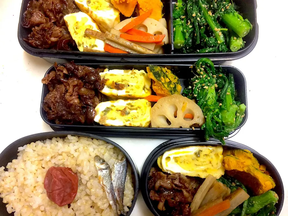 #今日のお弁当 牛肉のしぐれ煮、玉子焼、南瓜の塩バター煮、きんぴらごぼう＋蓮根、春菊のごま和え|Victoryageさん