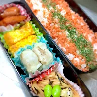 Snapdishの料理写真:中学生お弁当|akkoさん