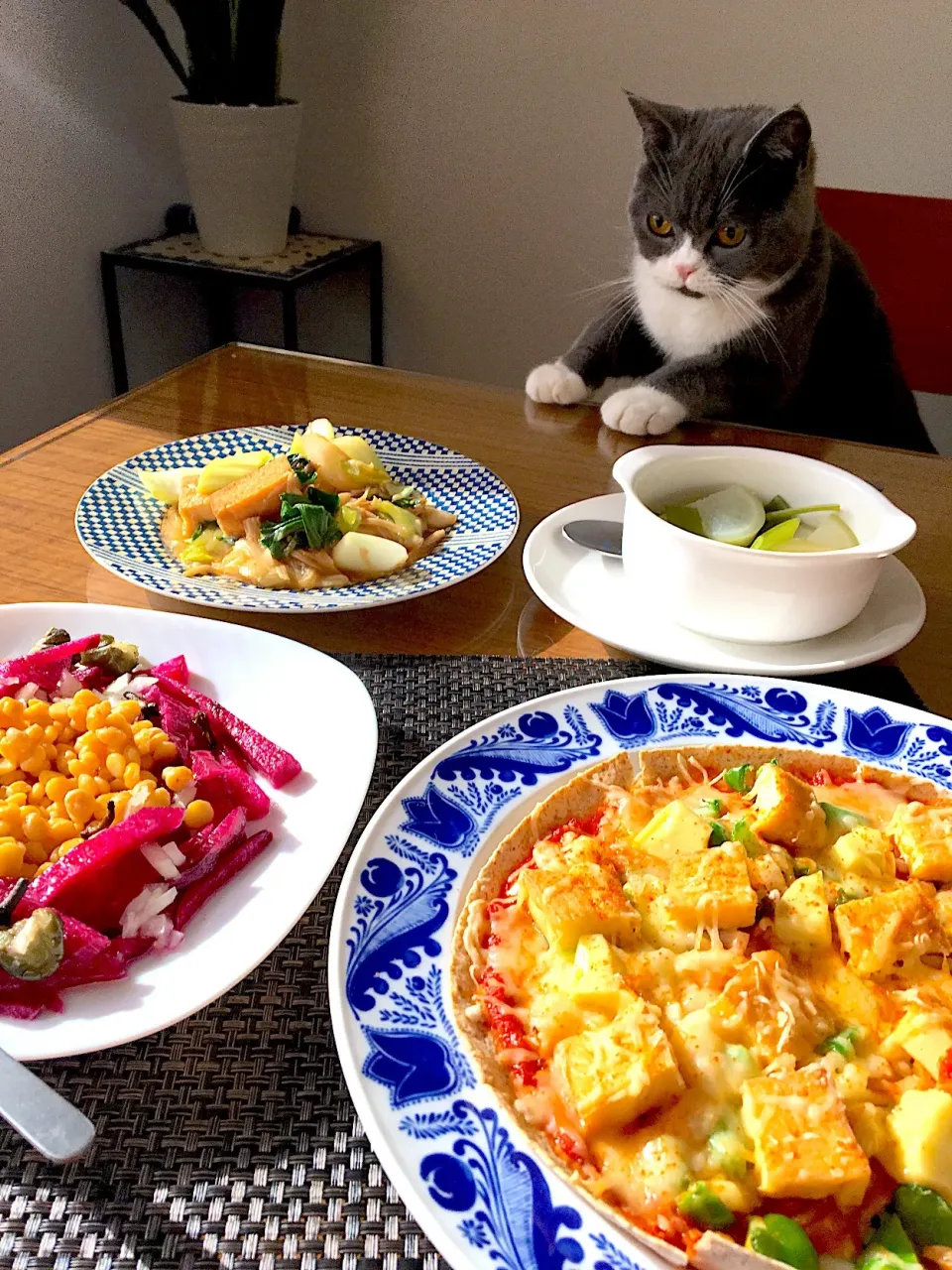 たび君とおうちランチ🍽😺|ゆぅさん