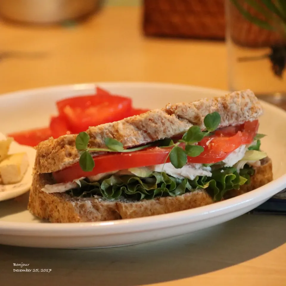 鶏のセロリサラダのサンドイッチ🥪
昨日のローストチキンで🌲|yasuko murakamiさん