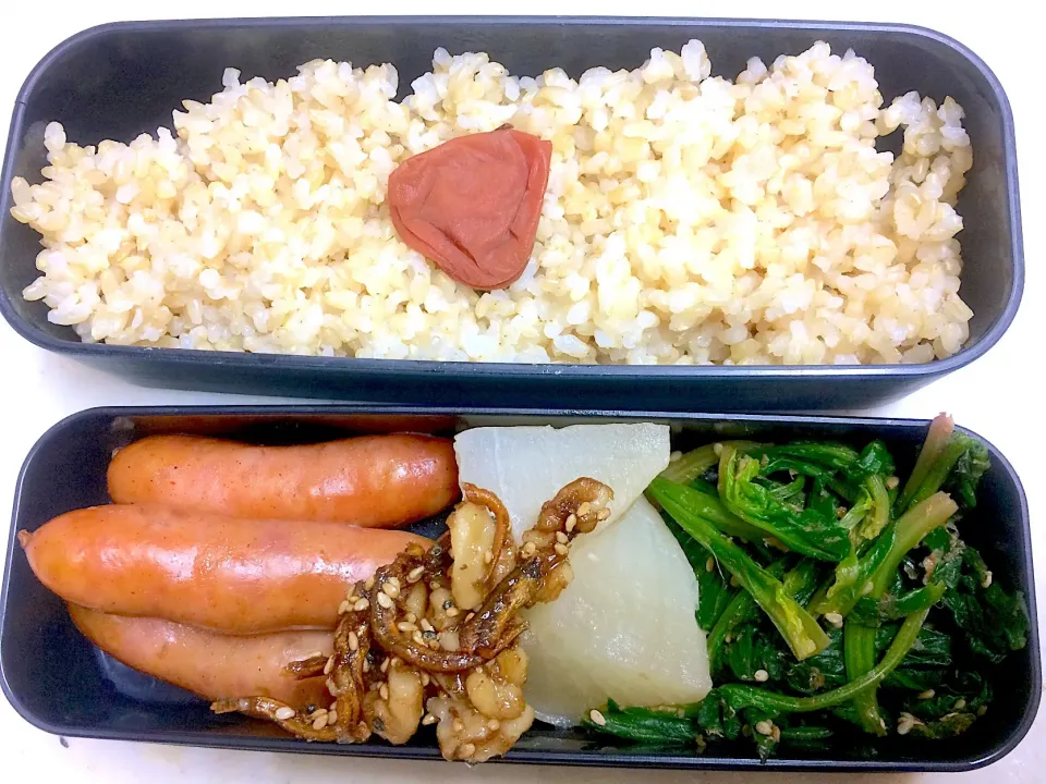 #今日のお弁当 ソーセージと大根の煮物、くるみ小女子、ほうれんそうのごま和え|Victoryageさん