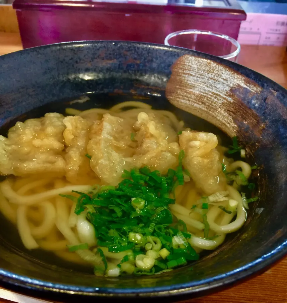 ごぼう天うどん🍜|keikoさん