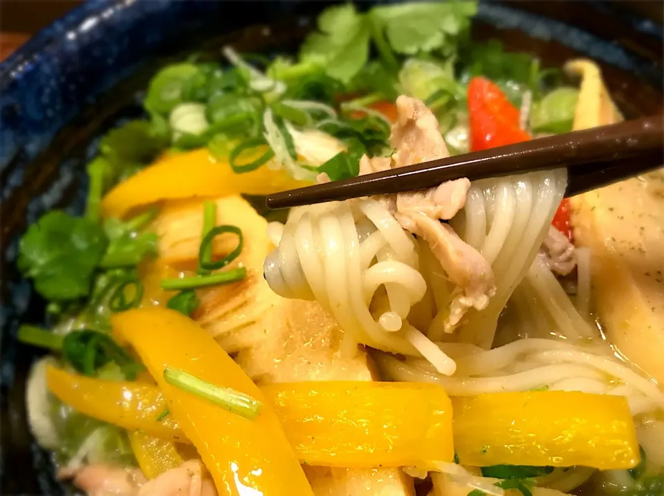 鶏せせりのタイグリーンカレー温めん6|半田手延べそうめんの店 阿波や壱兆さん