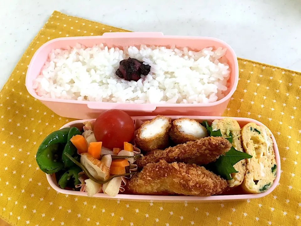 今日のお弁当🍱
ささみのフライ✨|くっきいさん