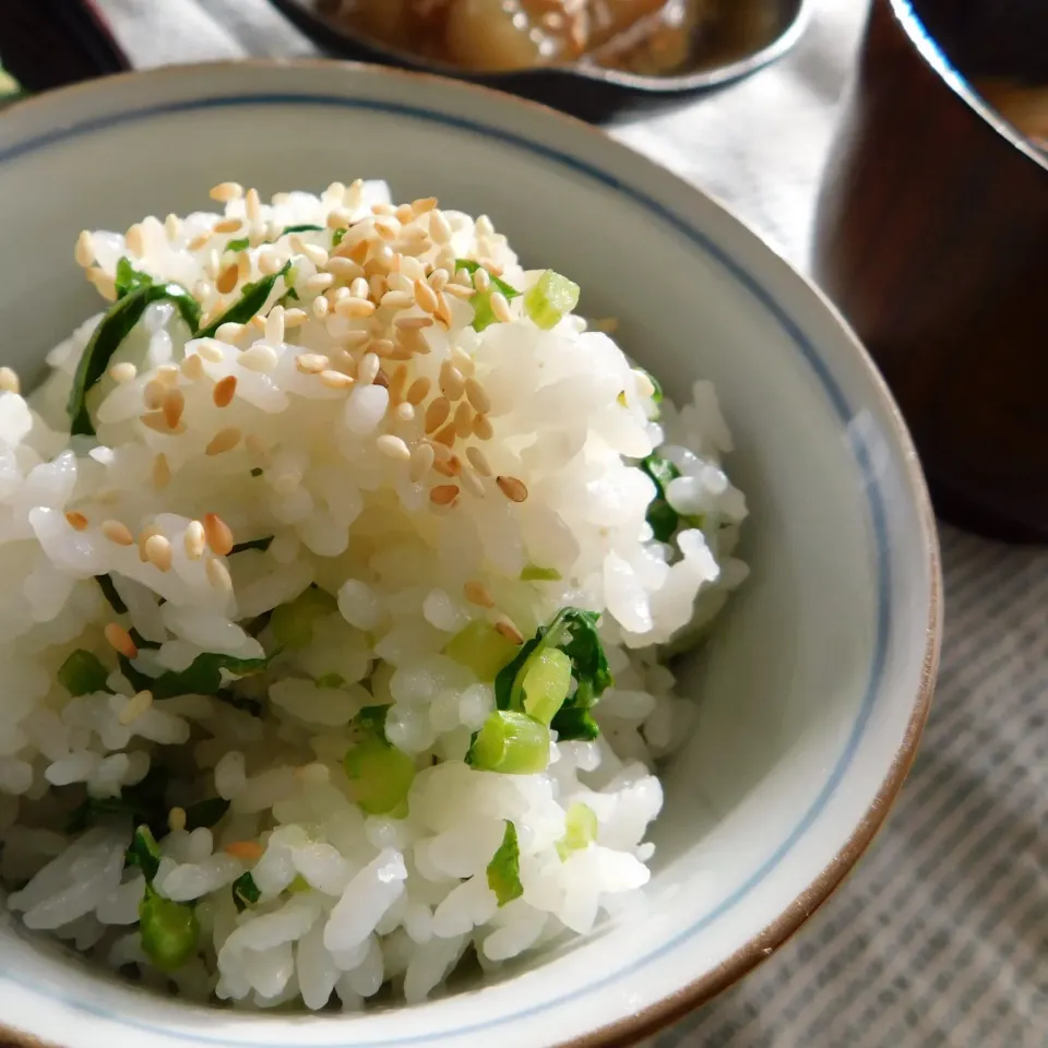 １２月２７日
やっぱり棄てられないシリーズ❣️
大根葉ご飯🍚😋|Yu Yu mamaさん