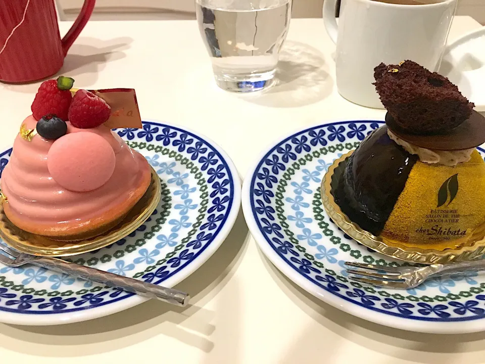 ストロベリーチーズケーキと、ショコラとシトロンのケーキ🍰|AyanoTanakaさん