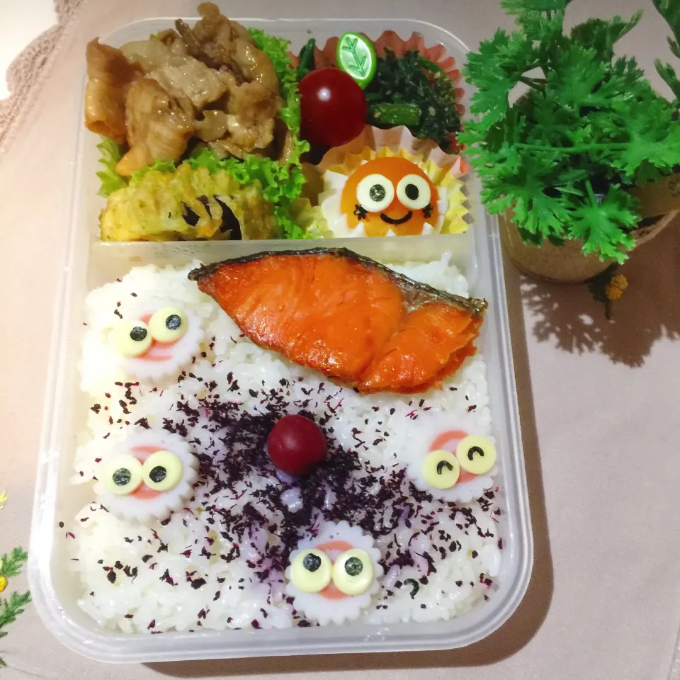 12/28❤︎実家父の日の丸なるとちゃん弁当❤︎
#お弁当 #お昼ごはん #父弁当 #ランチ #日の丸 #なると|Makinsさん