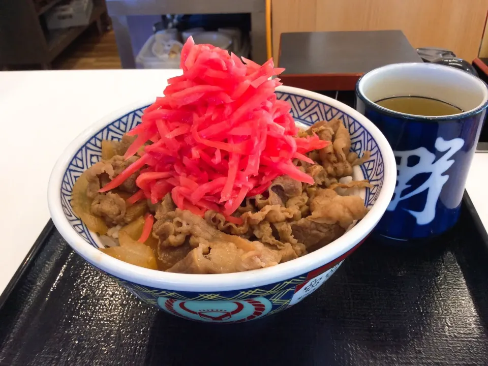 今年最後の肉の日🍖😋
吉野家さんお世話になりました🙏
あたまの大盛り😻|アライさんさん